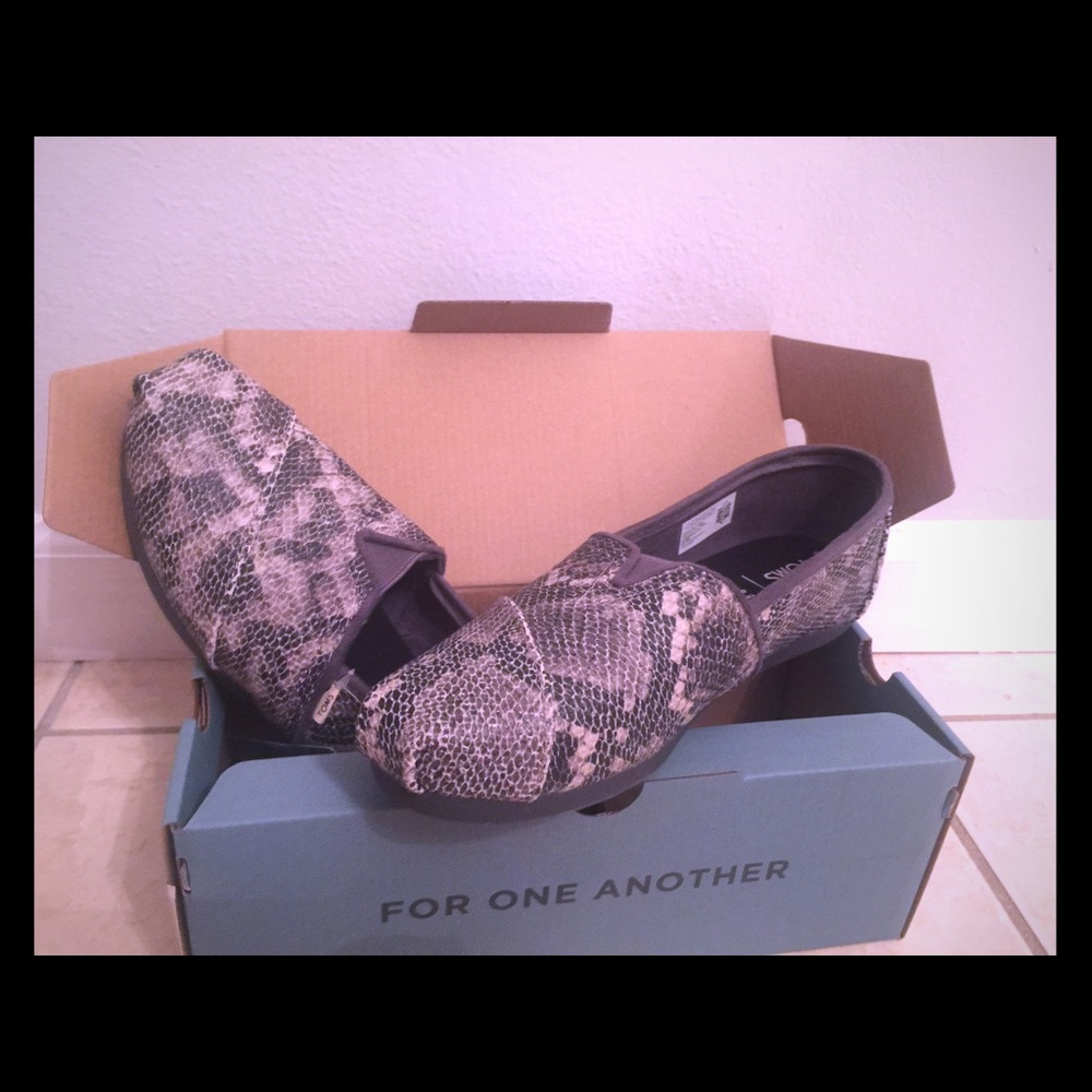 NEW TOMS Snake Print